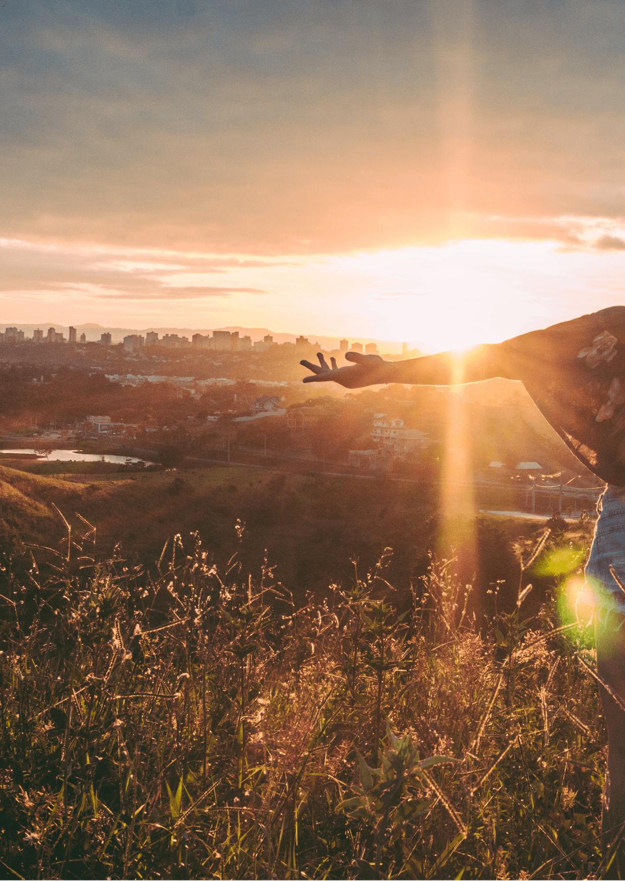 Bild mit Sonne und Freiheit